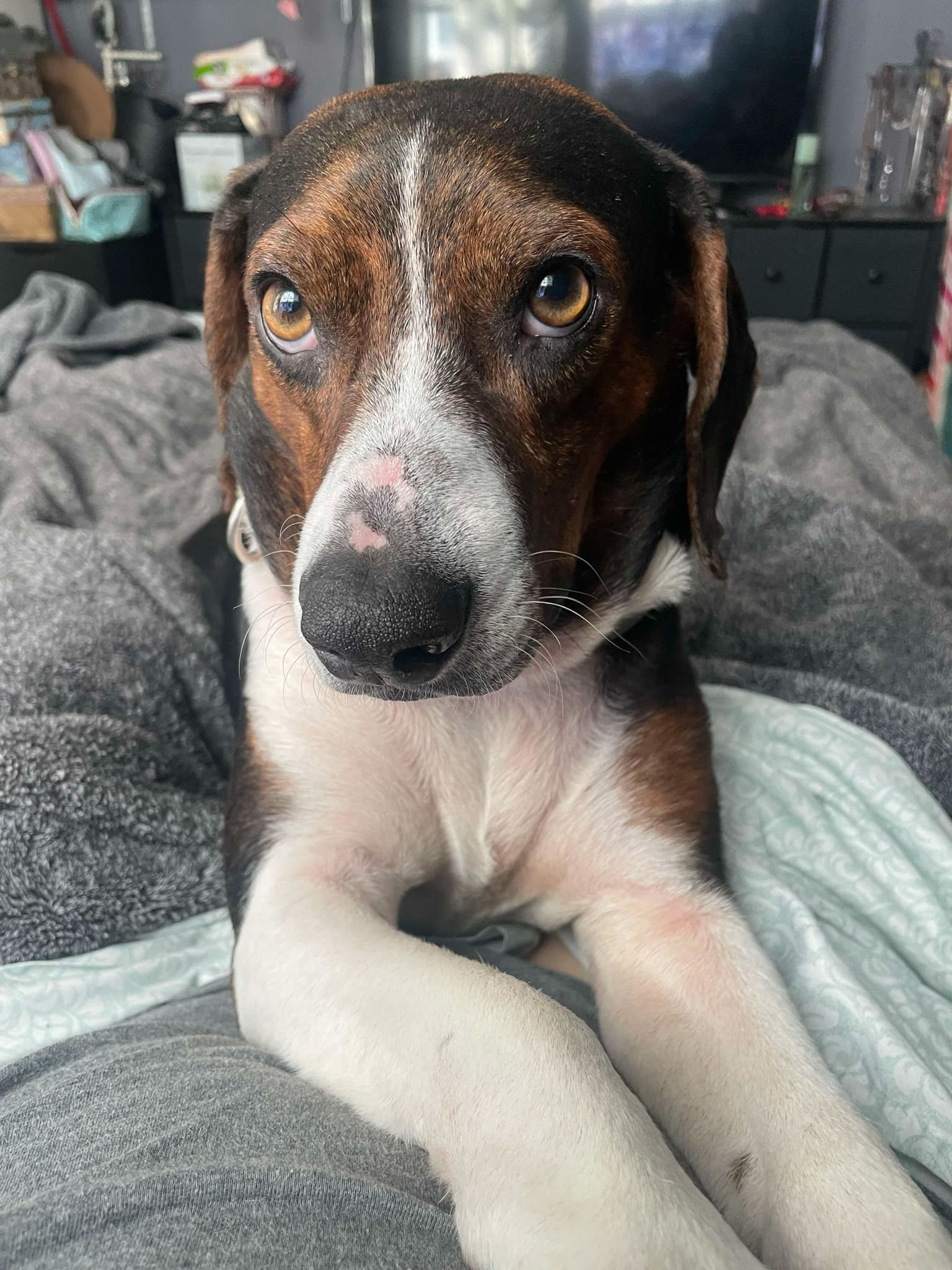 BUSTER