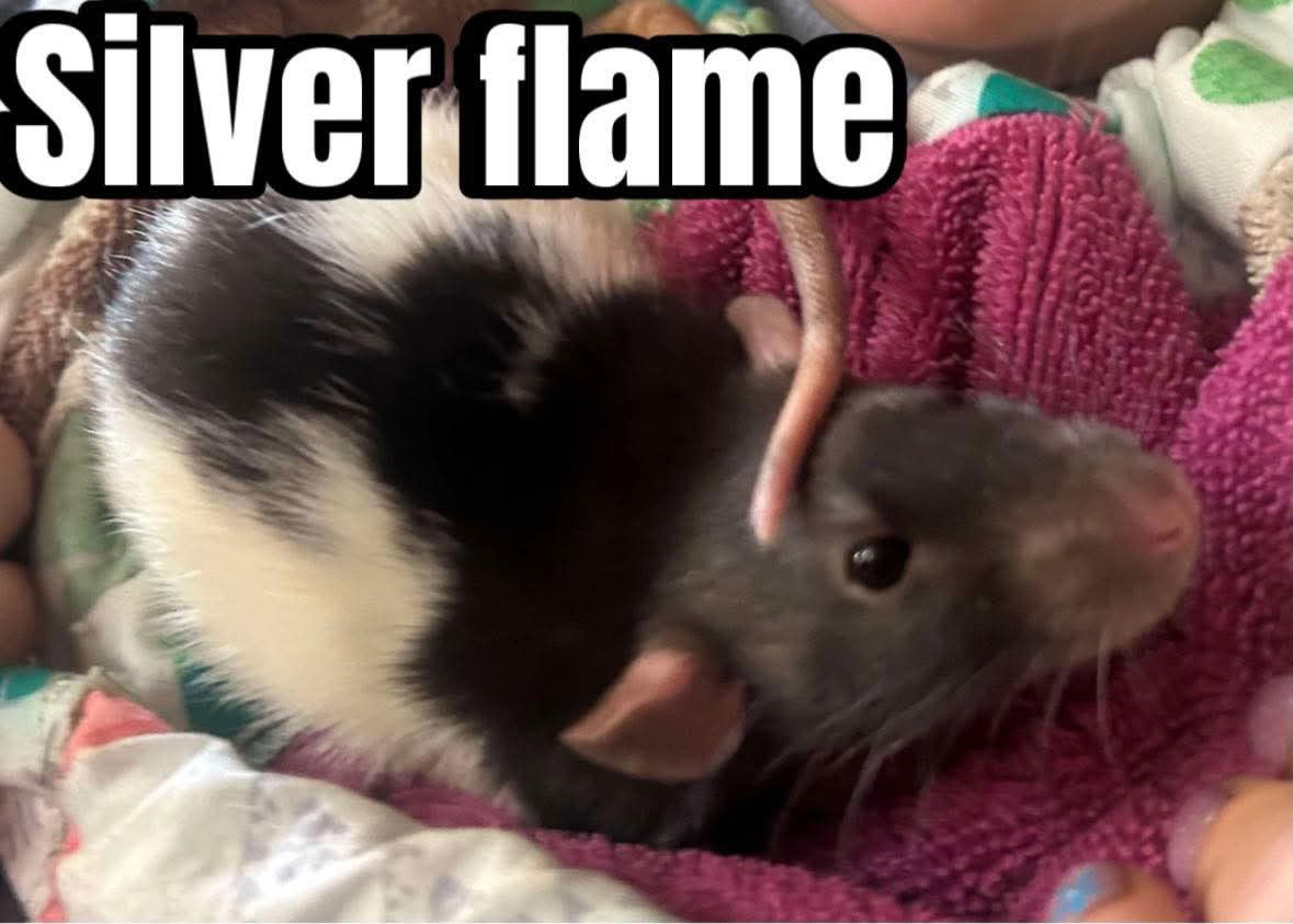Silver Flame