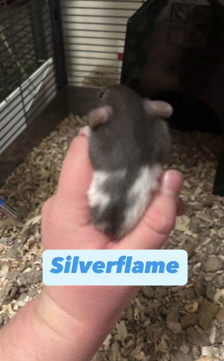 Silver Flame