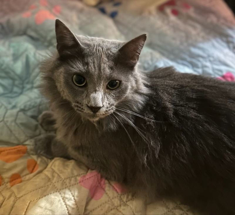 Jasper