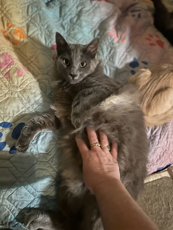 Jasper