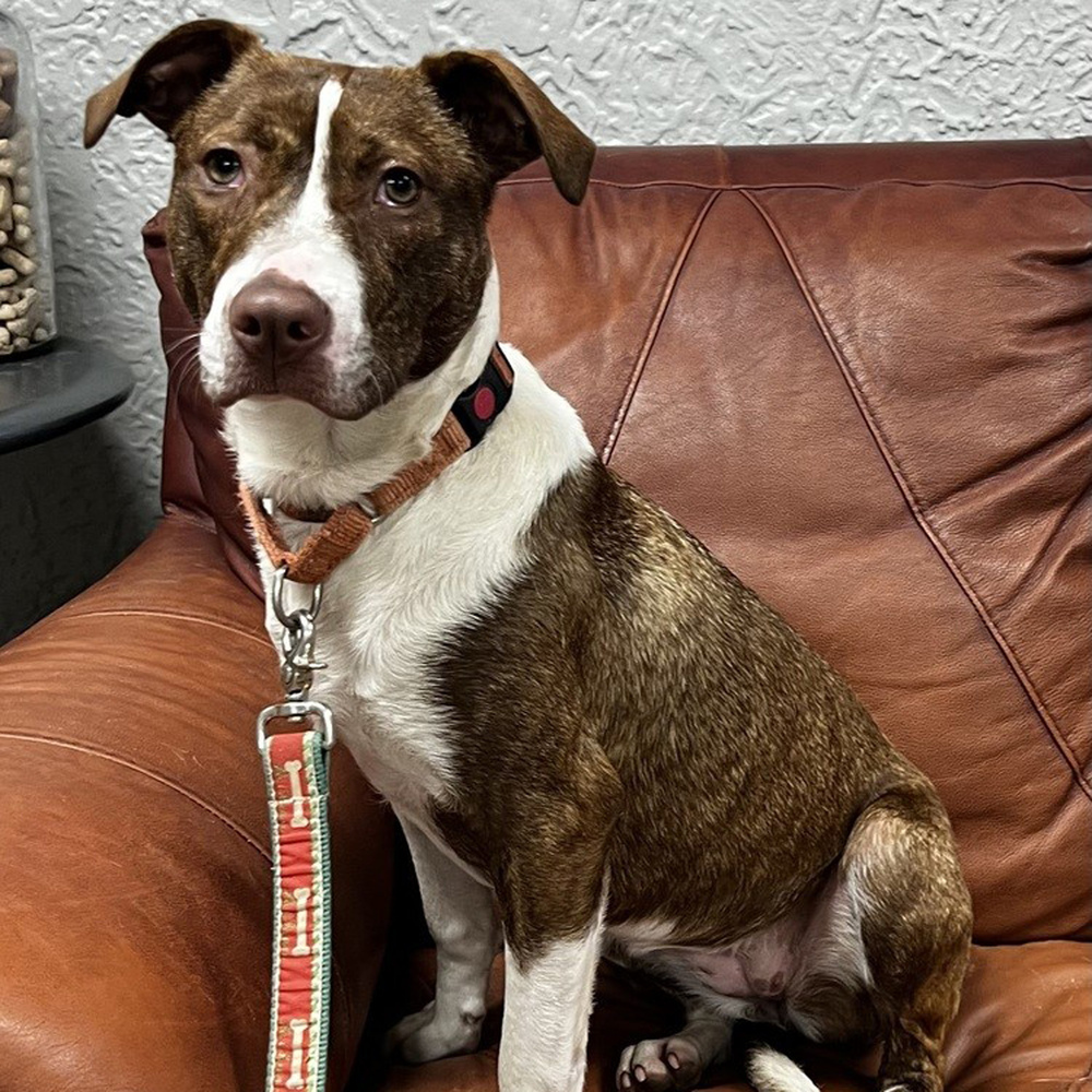 Sally - 25041