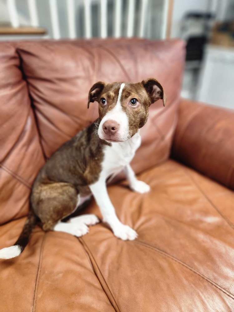 Sally - 25041