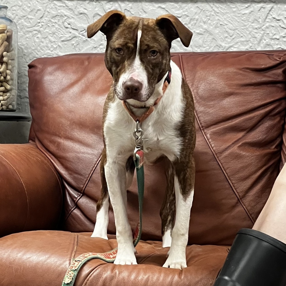 Sally - 25041