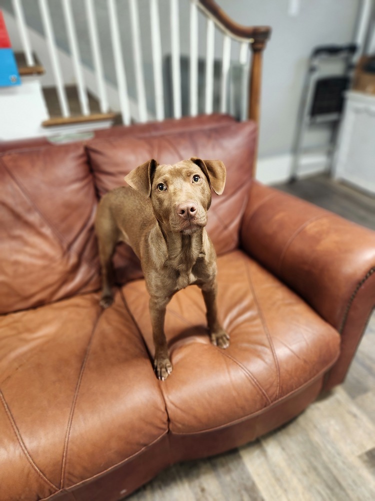 Sammie - 25035