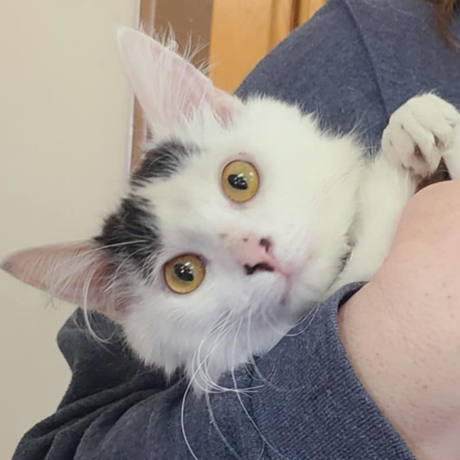 B Berkeley (bonded with T Berkeley)