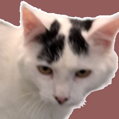 B Berkeley (bonded with T Berkeley)