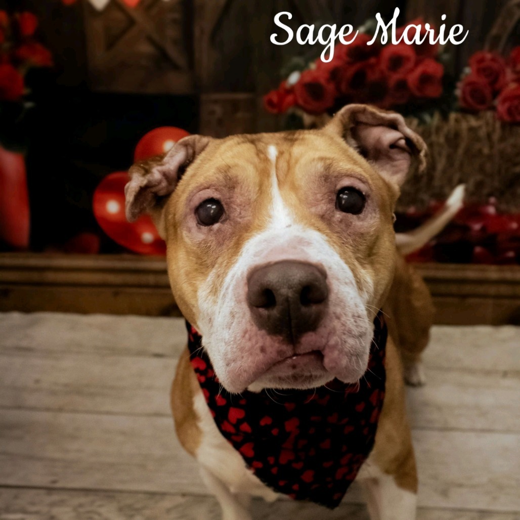 Sage Marie