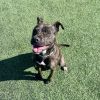 Nala photo 4
