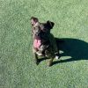 Nala photo 5