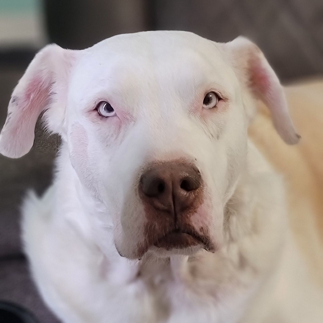 Zeus