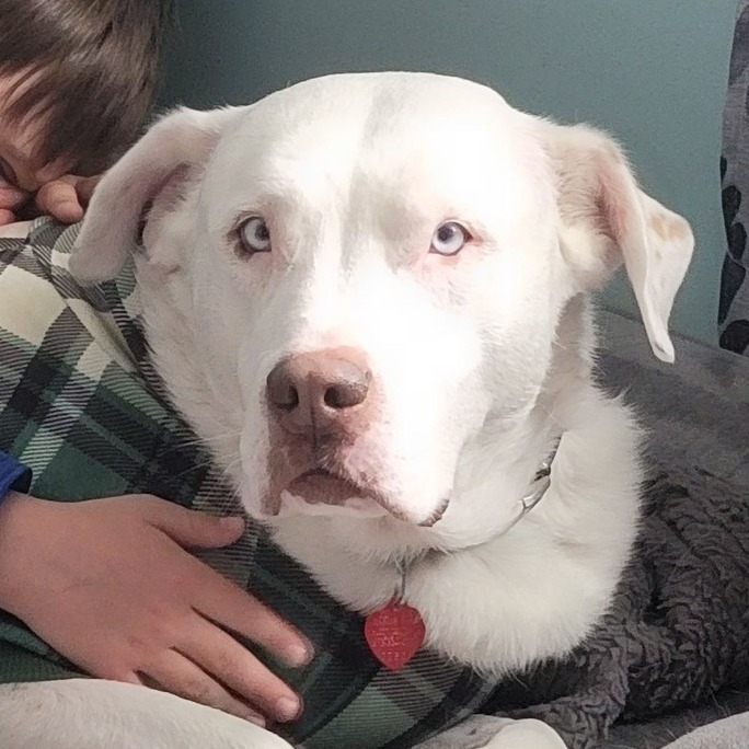 Zeus