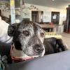 Maureen photo 6