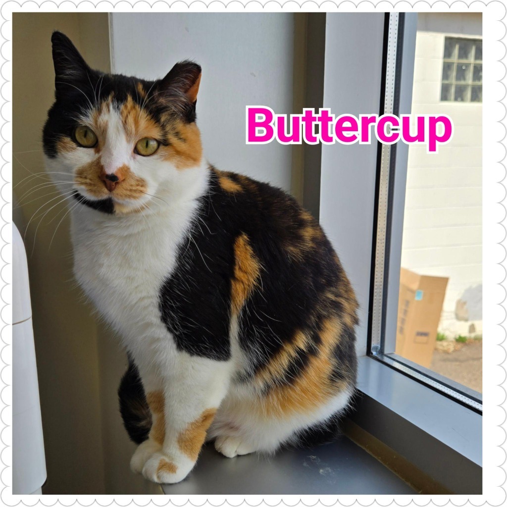 Buttercup