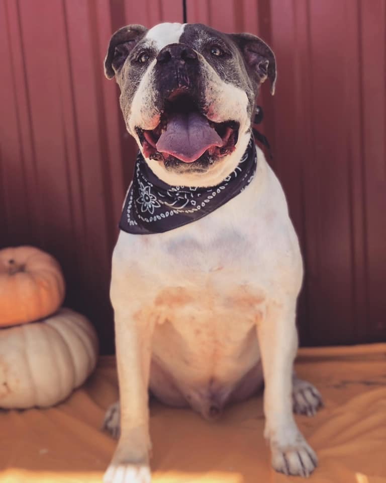 Waldo