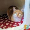 Peaches photo 2