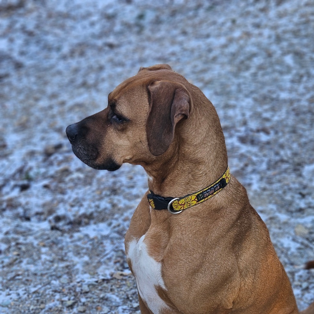 Jax