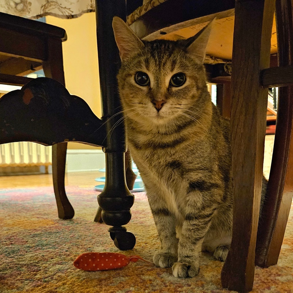 Prudence
