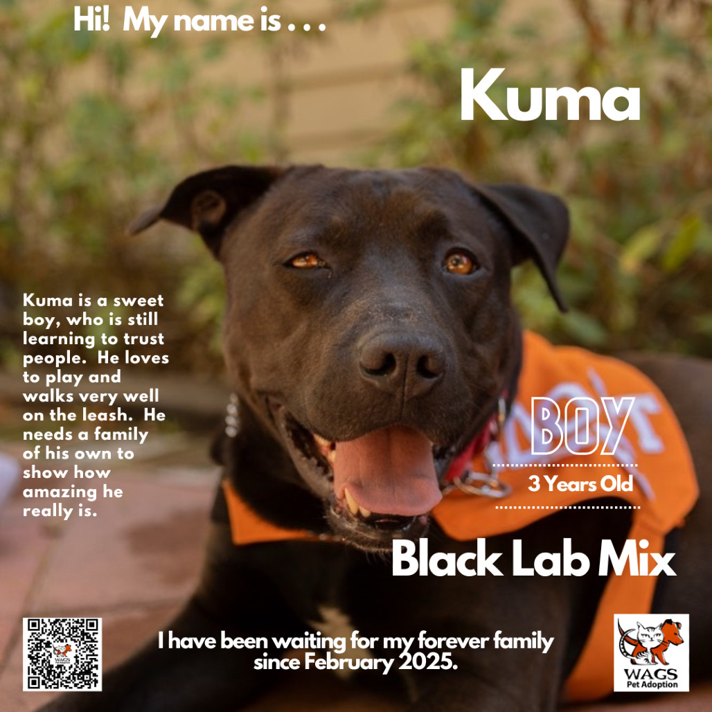 Kuma