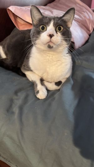 Rosie
