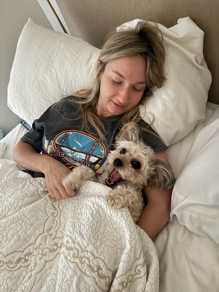 Savannah, an adoptable Shih Tzu, Maltese in los angeles, CA, 90046 | Photo Image 4