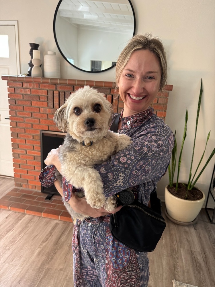 Savannah, an adoptable Shih Tzu, Maltese in los angeles, CA, 90046 | Photo Image 5