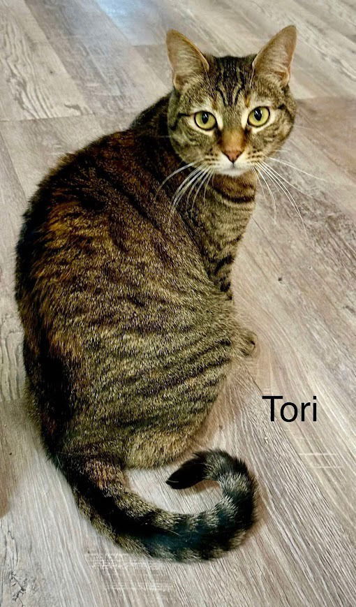 Tori