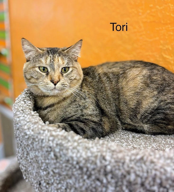 Tori