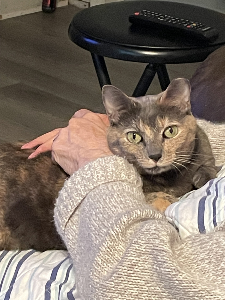 Nala
