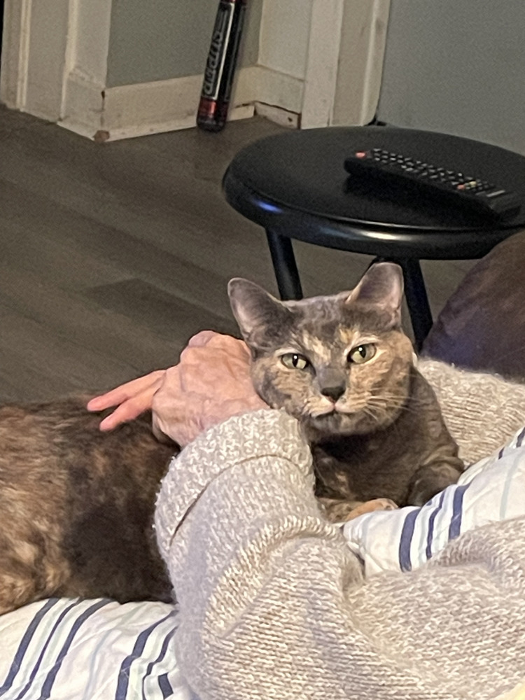 Nala