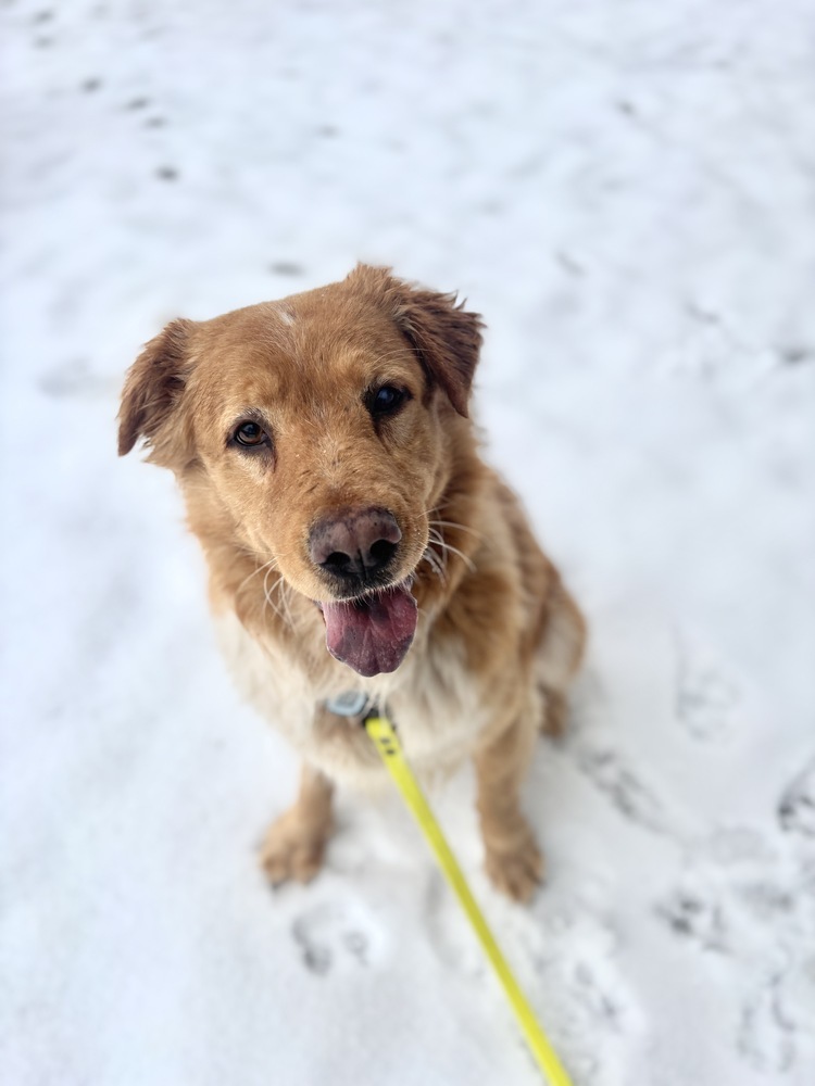 Duncan