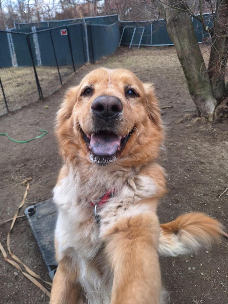 Duncan