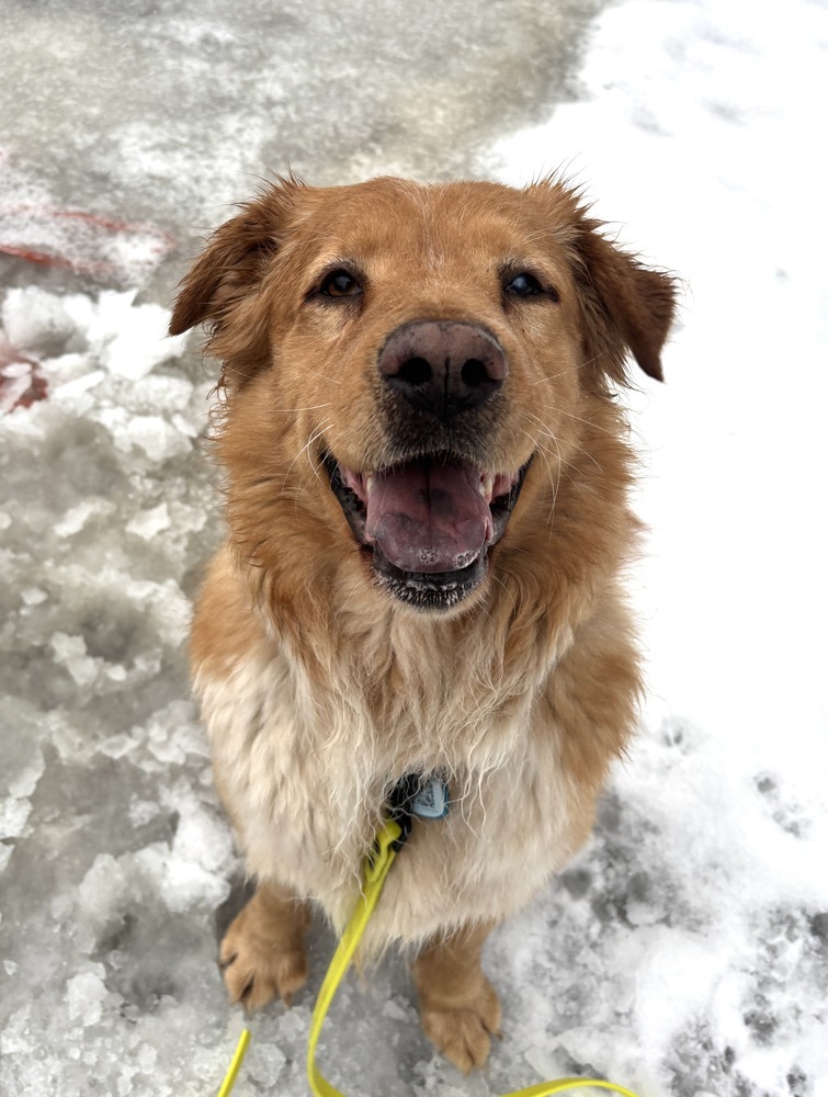 Duncan