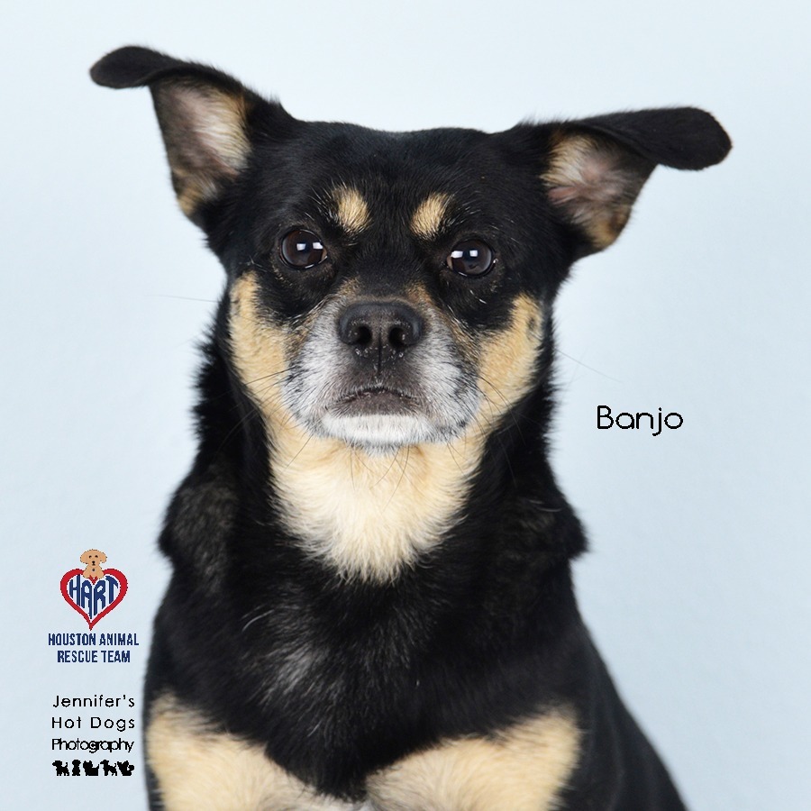 Banjo