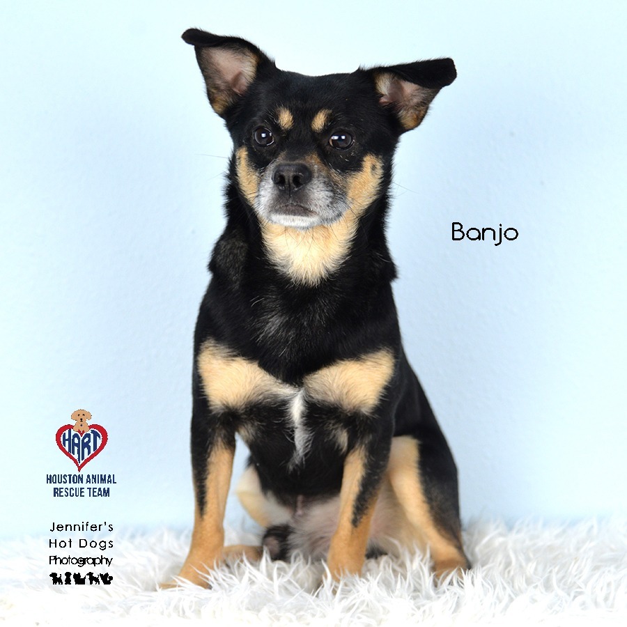 Banjo