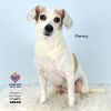 Penny photo 6