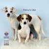 Penny photo 7