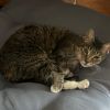 Tabitha photo 3