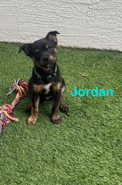 Jordan