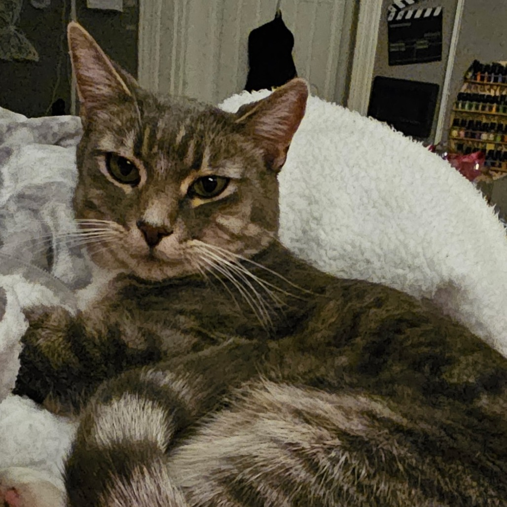 Jax