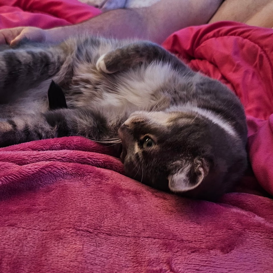 Jax
