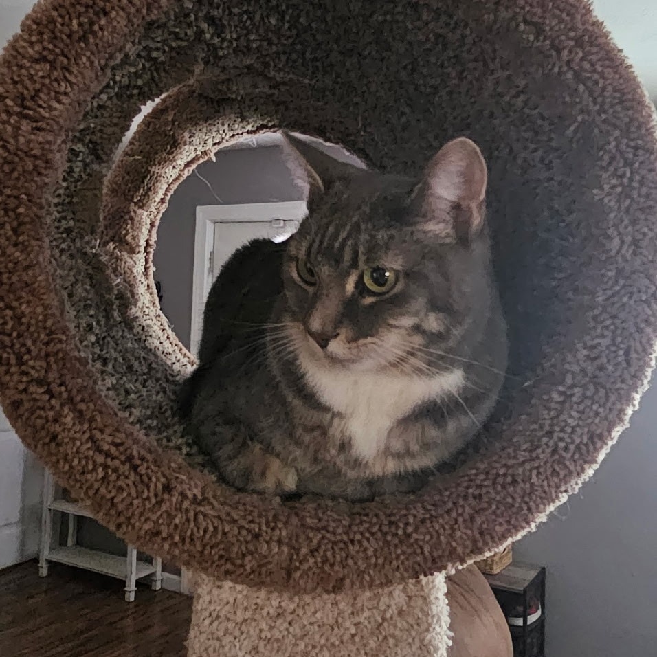 Jax