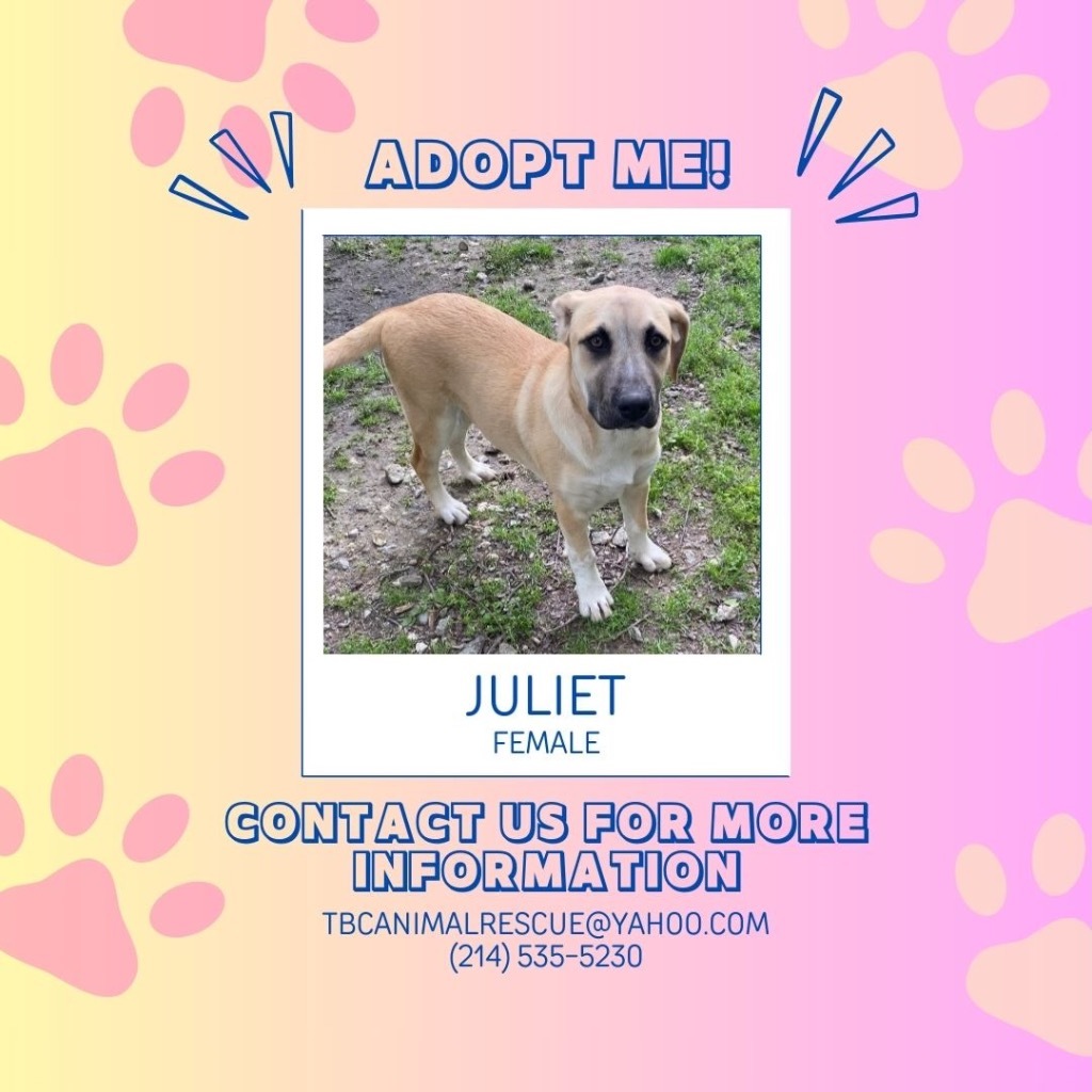 Juliet