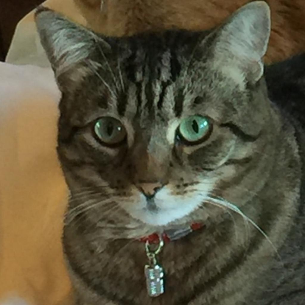 Izzy