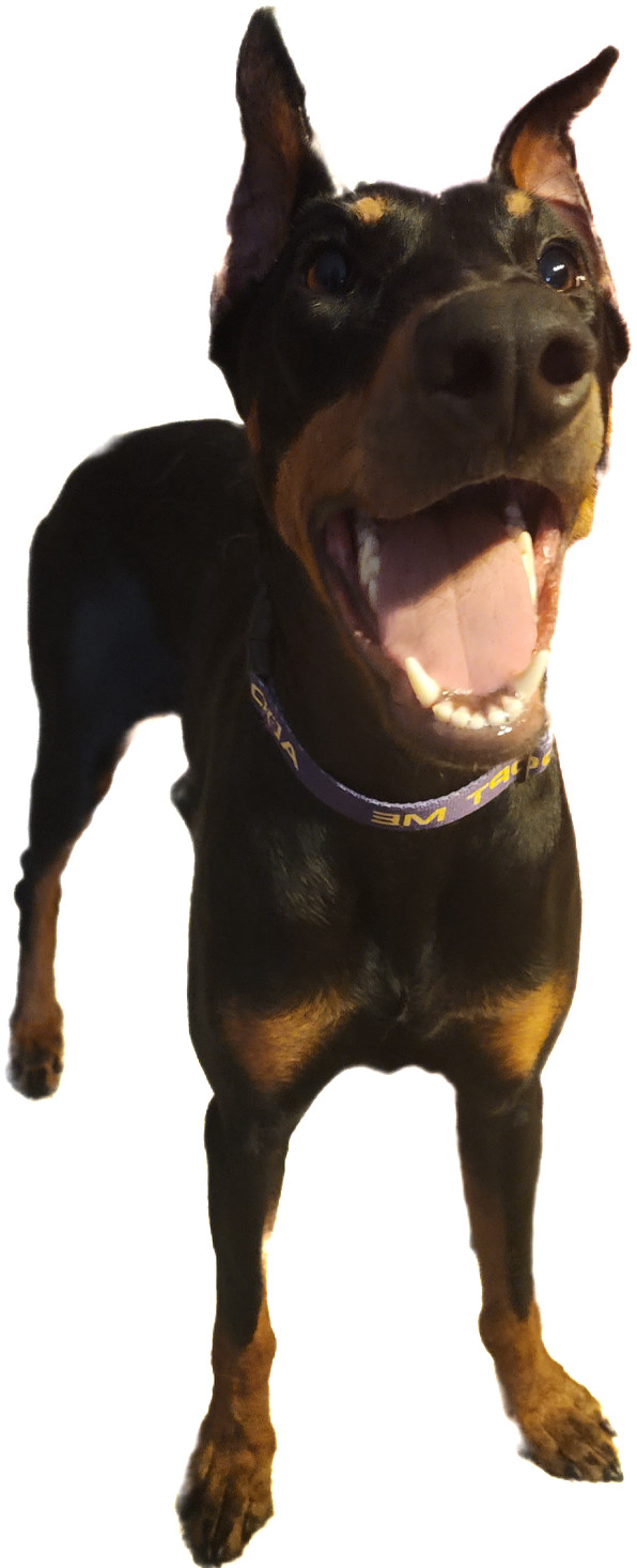 Nala
