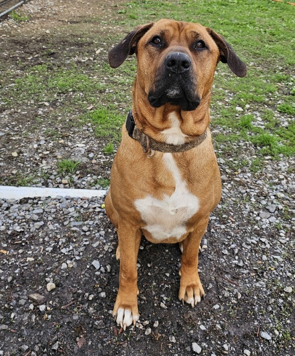 Zeus