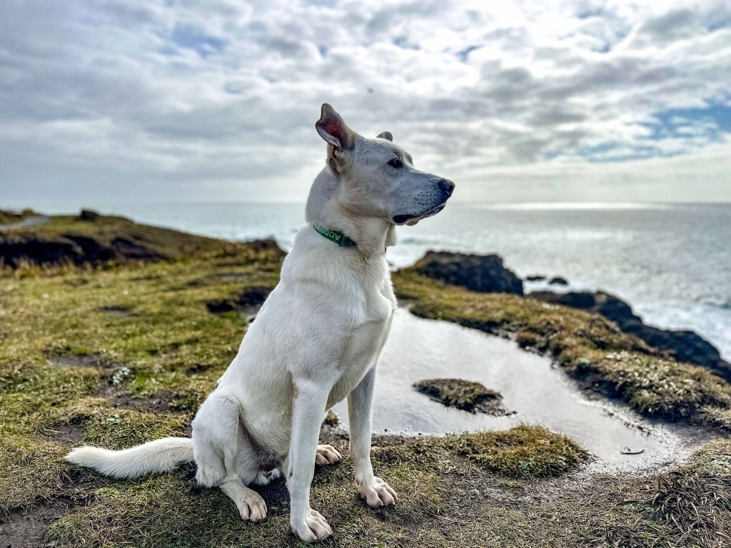 Marco