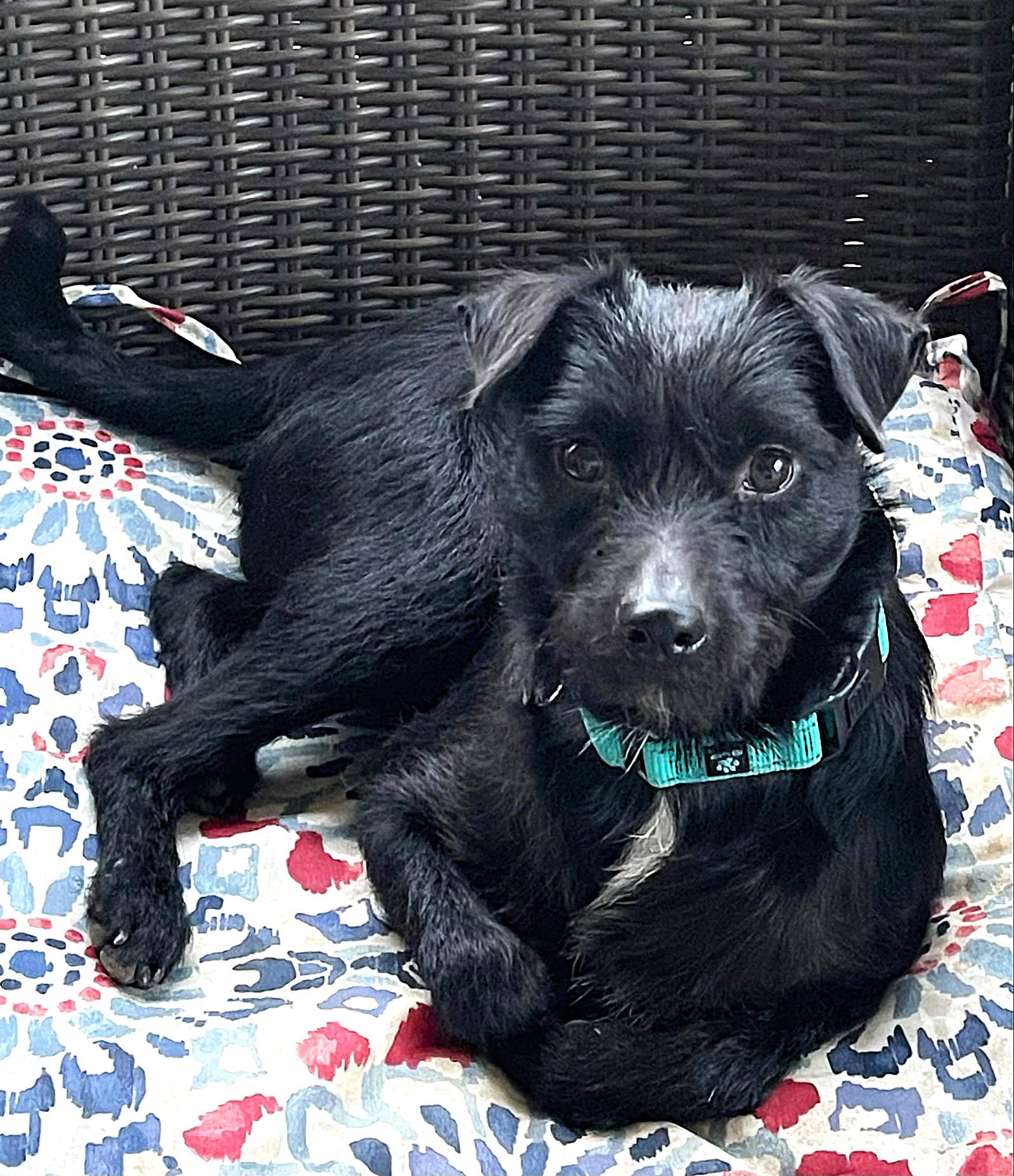 Elliott