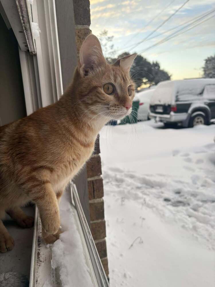 abby
