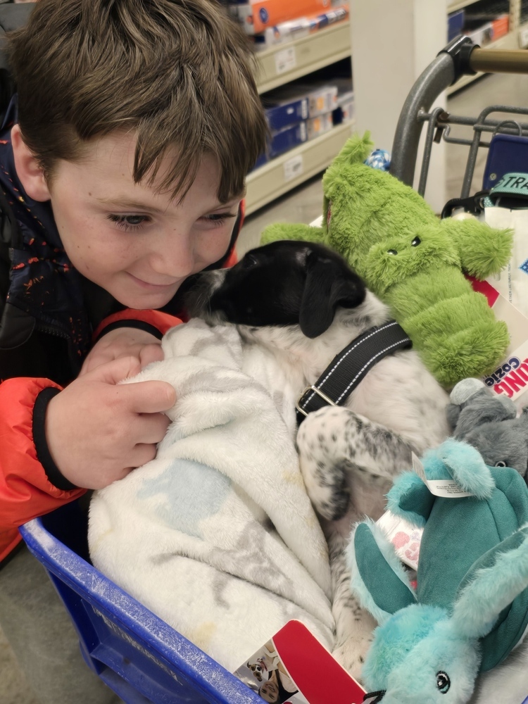Snoopy (San Pedro Puppies)